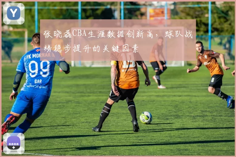 张晓磊CBA生涯数据创新高，球队战绩稳步提升的关键因素