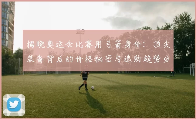 揭晓奥运会比赛用弓箭身价:顶尖装备背后的价格秘密与选购趋势分析