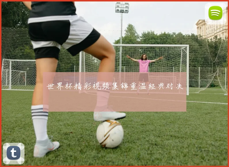 世界杯精彩视频集锦重温经典对决