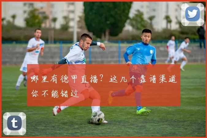 哪里有德甲直播？这几个靠谱渠道你不能错过