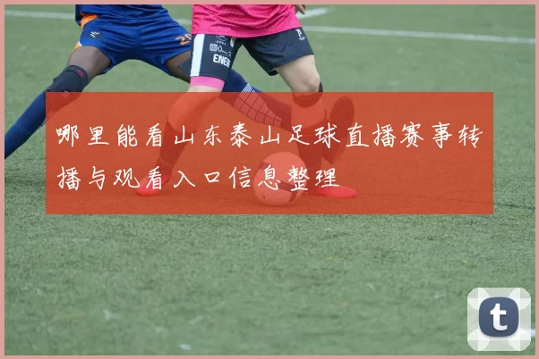 哪里能看山东泰山足球直播赛事转播与观看入口信息整理
