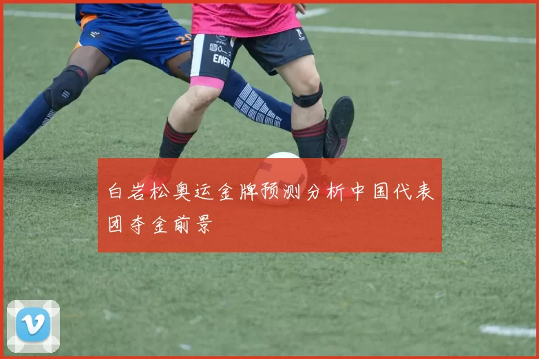 白岩松奥运金牌预测分析中国代表团夺金前景