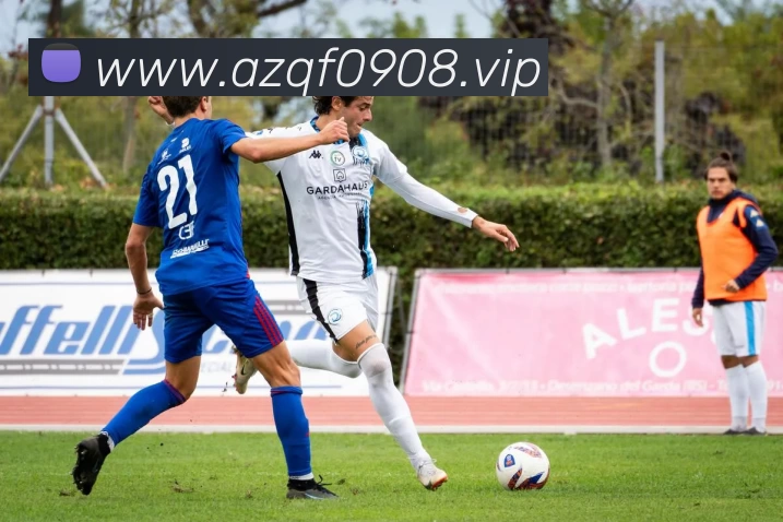 kaiyun体育在线登陆入口(China)官方网站平台生态图